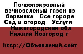 Почвопокровный, вечнозелёный газон из барвинка - Все города Сад и огород » Услуги   . Нижегородская обл.,Нижний Новгород г.